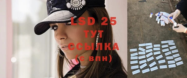 стафф Аркадак
