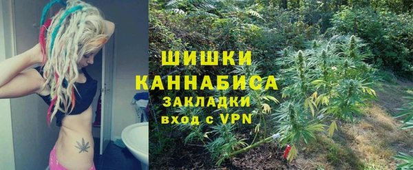 стафф Аркадак